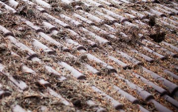 Castley roof cleaning companies