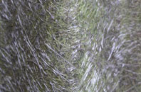 Castley fibreglass roof work